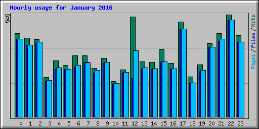 Hourly usage for January 2016