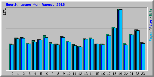 Hourly usage for August 2016